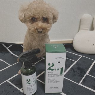우주님이 올린 리뷰 사진 2