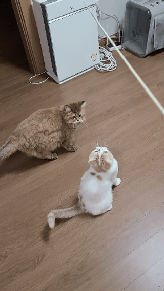 으나님이 올린 리뷰 사진 4