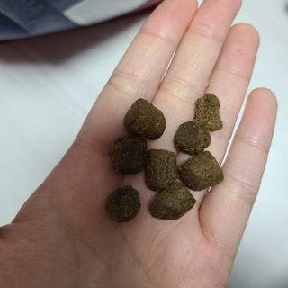 LunaHayes님이 올린 리뷰 사진 3