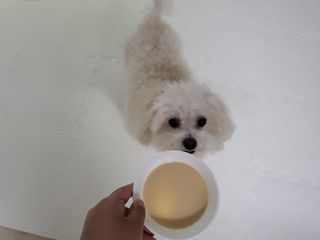 주여니이님이 올린 리뷰 사진 2