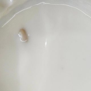 프리 [2종 패키지]덴마크 요거밀 통오트 요거트(플레인/아몬드) — 5점을 준 리뷰어가 2025년 8월 올린 사용 사진
