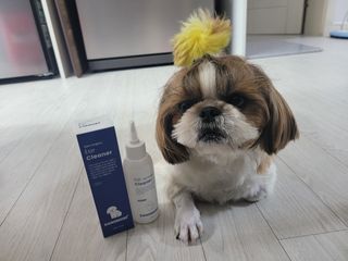 [댕모어 클리너 3종] 아이클리너 / 이어클리너 / 덴탈클리너 3종 세트 (120ml) — 5점을 준 리뷰어가 2023년 10월 올린 사용 사진