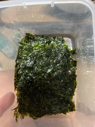 [해림맛김] 들기름에 구운 바삭바삭 김 4종 세트 + 1종 랜덤발송 총5개입 — 4.5점을 준 리뷰어가 2021년 2월 올린 사용 사진