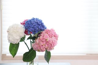 쩡이님이 올린 리뷰 사진 1