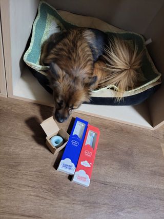오둥이맘님이 올린 리뷰 사진 1