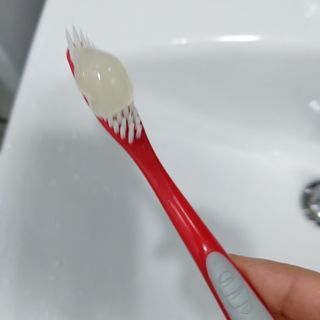복도리님이 올린 리뷰 사진 3