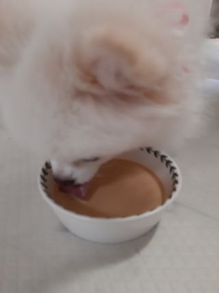 부산댁님이 올린 리뷰 사진 3