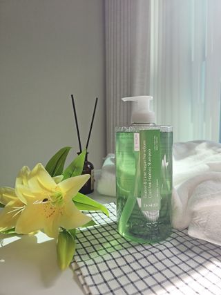 닥터시드 티트리 앤 라임 비건 지성케어 쿨 탈모 샴푸 (1000ml) — 5점을 준 리뷰어가 2024년 4월 올린 사용 사진