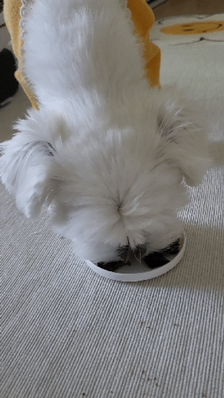 뽀오오옹님이 올린 리뷰 사진 1