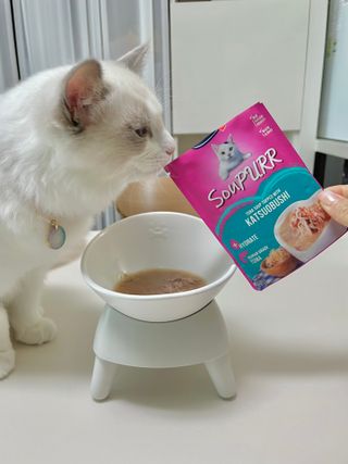 비타크래프트 고양이 수프 50g 3가지맛 x4팩씩 총 12팩 — 5점을 준 리뷰어가 2021년 8월 올린 사용 사진