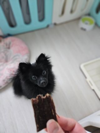 김보연님이 올린 리뷰 사진 3