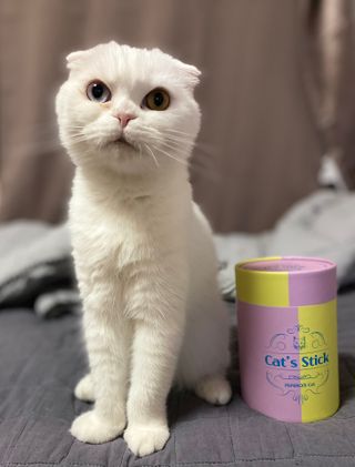 화이집사님이 올린 리뷰 사진 2