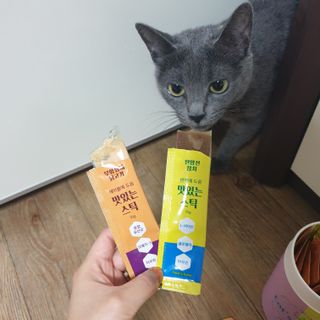 페페로니 맛있는 스틱 - 무항생제 닭고기 15개 + 원양선 참치 15개 — 5점을 준 리뷰어가 2021년 8월 올린 사용 사진
