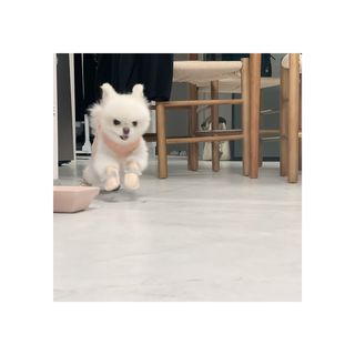 kibomi09님이 올린 리뷰 사진 4