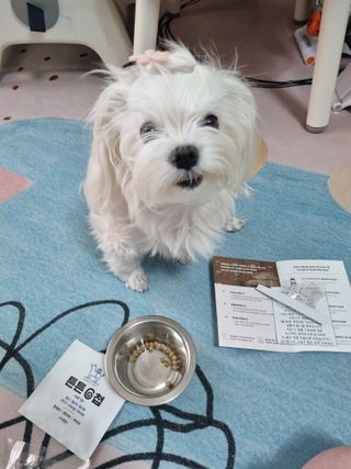 하람엄마님이 올린 리뷰 사진 4
