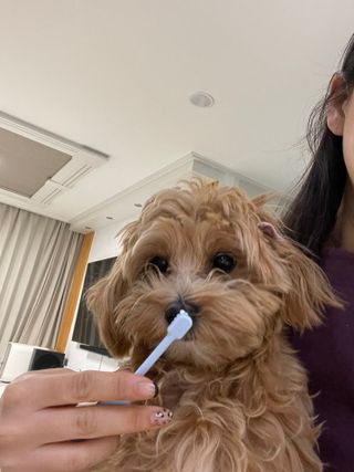 leah님이 올린 리뷰 사진 2