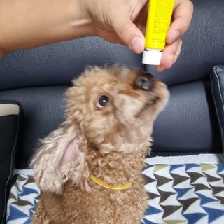 하니월드님이 올린 리뷰 사진 1