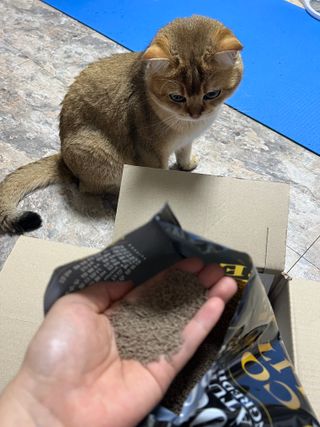 고고고님이 올린 리뷰 사진 3