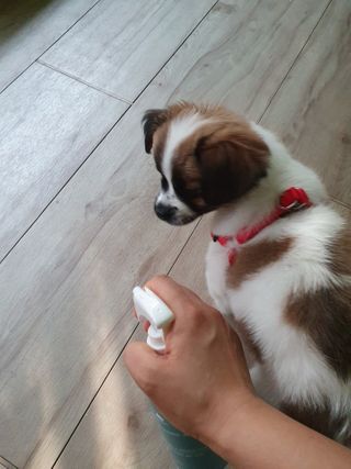 이쁜정똥이님이 올린 리뷰 사진 2