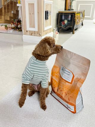 늘봄님이 올린 리뷰 사진 1