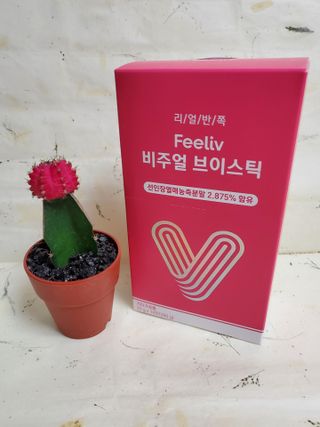 필리브 비주얼 브이스틱 — 5점을 준 리뷰어가 2021년 6월 올린 사용 사진