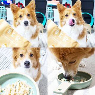 림림님이 올린 리뷰 사진 1
