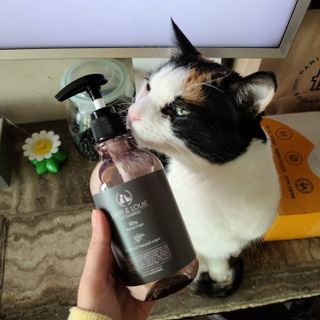마리앤루이펫샴푸 [mari and louie pet shampoo] — 5점을 준 리뷰어가 2021년 6월 올린 사용 사진