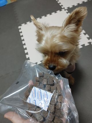 My Pet Care 천연단백질 관절건강에 개좋아 — 5점을 준 리뷰어가 2021년 1월 올린 사용 사진