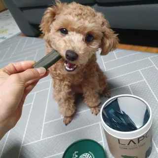 써니곰님이 올린 리뷰 사진 1