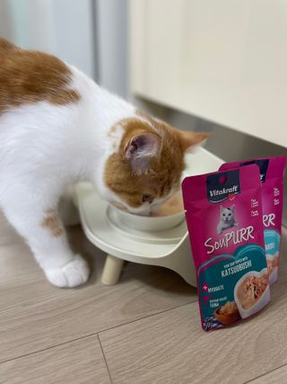 비타크래프트 고양이 수프 50g 3가지맛 x4팩씩 총 12팩 — 5점을 준 리뷰어가 2021년 8월 올린 사용 사진