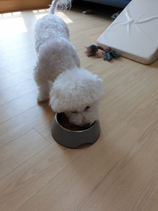 절약마미님이 올린 리뷰 사진 3