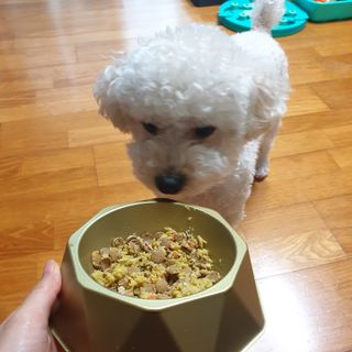 민동2님이 올린 리뷰 사진 4