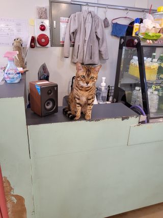 하니님이 올린 리뷰 사진 3