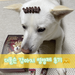 나래님이 올린 리뷰 사진 1
