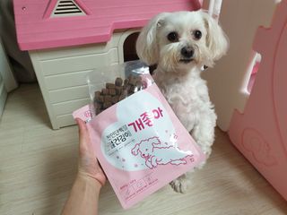 My Pet Care 천연단백질 관절건강에 개좋아 — 5점을 준 리뷰어가 2021년 1월 올린 사용 사진