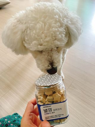 지혜님이 올린 리뷰 사진 4