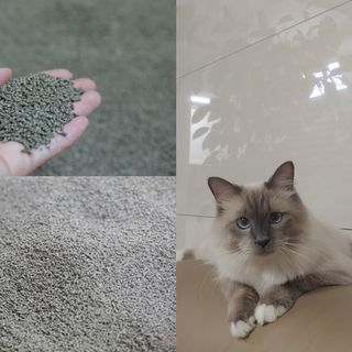 하양토끼님이 올린 리뷰 사진 3