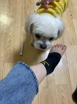 happier님이 올린 리뷰 사진 3