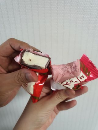 다시님이 올린 리뷰 사진 2