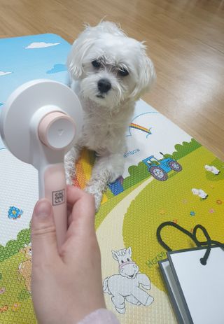 삐랭이님이 올린 리뷰 사진 3