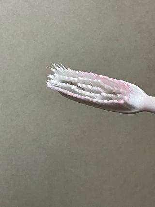 진시님이 올린 리뷰 사진 4