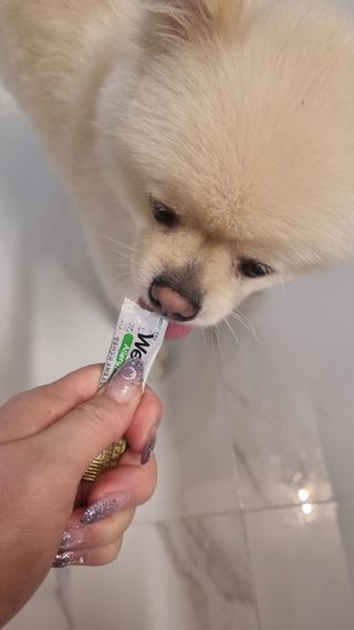 고이든님이 올린 리뷰 사진 3