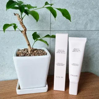 프리마인 선크림만 바꿨을 뿐인데 매일 물 2L챙겨먹고 기초케어 완벽하게 한 물빛피부 완성,셀라브UV프로텍터 — 5점을 준 리뷰어가 2023년 8월 올린 사용 사진