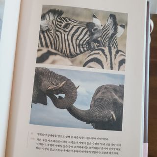 소신인생님이 올린 리뷰 사진 3