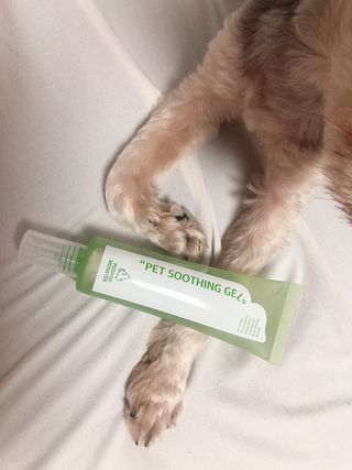 꿀님이 올린 리뷰 사진 1