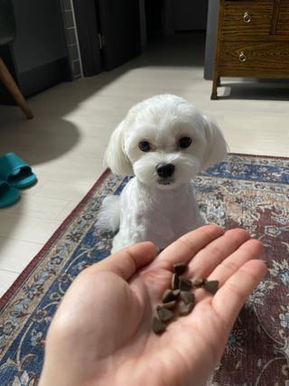 sooa님이 올린 리뷰 사진 3