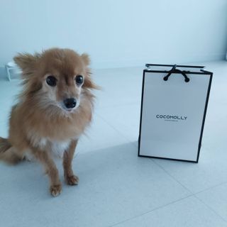 Rushx님이 올린 리뷰 사진 1