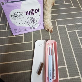 크림푸님이 올린 리뷰 사진 1