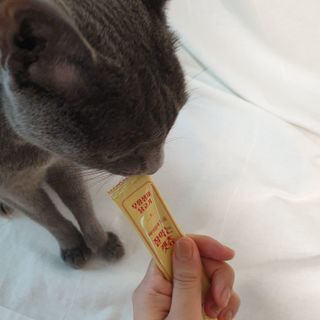 페페로니 잘 먹는 캣츄 - 무항생제 닭고기 24개입 — 5점을 준 리뷰어가 2021년 7월 올린 사용 사진