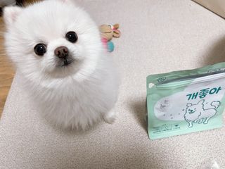 메리몽드님이 올린 리뷰 사진 1